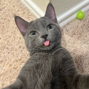 Meet your Posher, Katherine